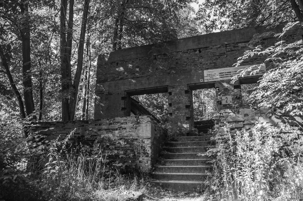 Gierloz Polónia Agosto 2018 Covil Lobo Bunker Onde Hitler Estava — Fotografia de Stock