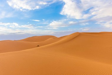 Alacakaranlıkta Sahra Çölü 'nün kumullarının güzel manzarası, Merzouga, Fas