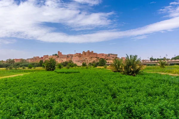 Oasis Tinghir Petite Ville Maroc — Photo