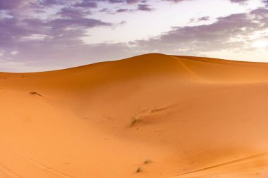 Erg Chebbi 'nin kumullarında şafak vakti, Sahra Çölü, Fas