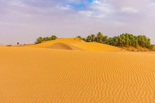 Gyönyörű Táj Dűnék Szahara Sivatagban Merzouga Marokkó — Stock Fotó