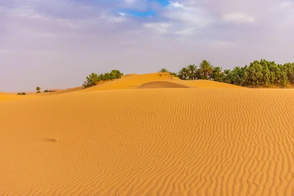 Bellissimo Paesaggio Delle Dune Nel Deserto Del Sahara Merzouga Marocco — Foto Stock