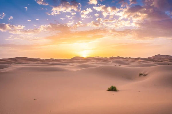 Splendida Alba Nel Deserto Del Sahara Marocco — Foto Stock