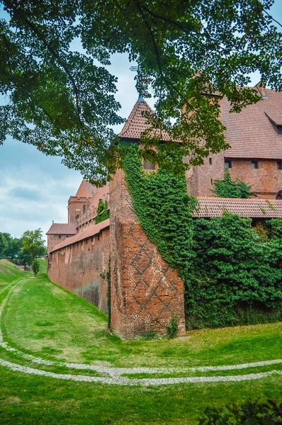 Torre Mura Del Castello Malbork Ricoperte Edera Polonia — Foto Stock