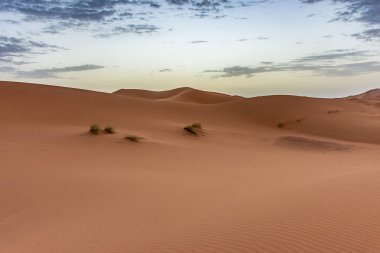 Erg Chebbi 'nin kumullarında şafak vakti, Sahra Çölü, Fas
