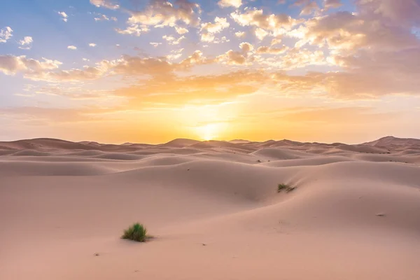 Piękny Świt Saharze Maroko — Zdjęcie stockowe