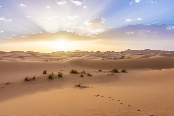 Bellissimo Paesaggio Del Deserto Del Sahara Erg Chebbi Merzouga Morocco — Foto Stock