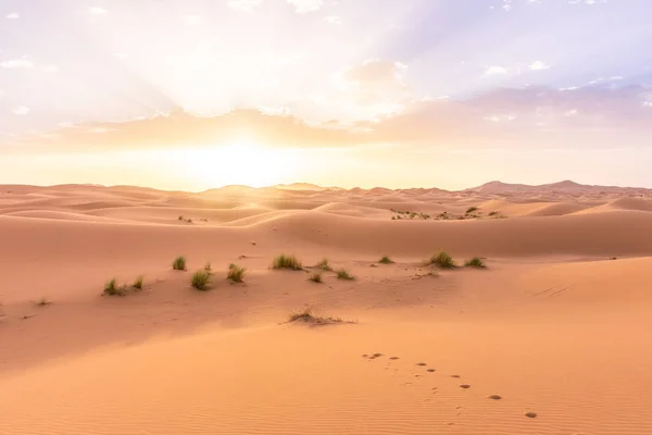 Hermoso Paisaje Del Desierto Del Sahara Erg Chebbi Merzouga Morocco — Foto de Stock