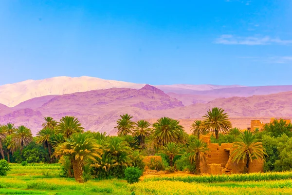 Tinghir vahası, Fas 'ta küçük bir kasaba.