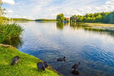 Ördekler, Masurian Lakes, Polonya