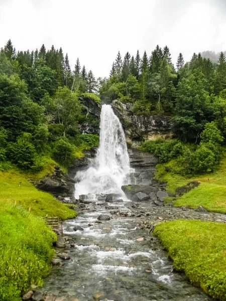 Naturskön Utsikt Över Vattenfallet Fir Forest Dagtid — Stockfoto