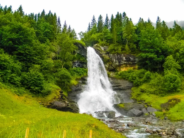 Naturskön Utsikt Över Vattenfallet Fir Forest Dagtid — Stockfoto