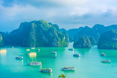 HA LONG BAY, VİETNAM, 6 HAZİRAN 2020: