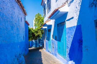 Şef Chaouen 'in mavi sokakları, Fas