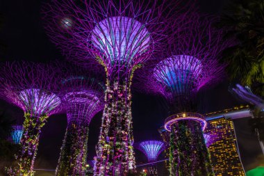 SINGAPORE, 3 EKİM 2019: Geceleri körfezin kenarındaki Bahçelerin Süperağaçları