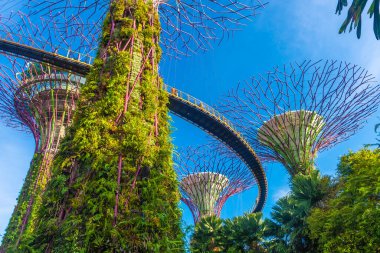 SINGAPORE, 3 EKİM 2019: Körfezin yanındaki Bahçelerin Süperağaçları