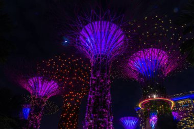SINGAPORE, 3 EKİM 2019: Geceleri körfezin kenarındaki Bahçelerin Süperağaçları