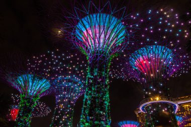 SINGAPORE, 3 EKİM 2019: Geceleri körfezin kenarındaki Bahçelerin Süperağaçları