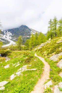 Alp manzarası Gran Paradiso Ulusal Parkı, Piedmont, İtalya