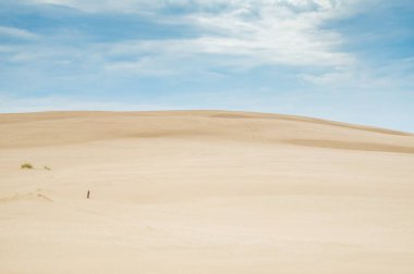 Leba 'nın kum tepeleri Polonya' nın Slowinski Ulusal Parkı çölünde