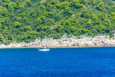 Hvar Adası yakınlarındaki bir tekne ve Adriyatik Denizi, Hırvatistan 'dan gelen bitki örtüsü manzarası