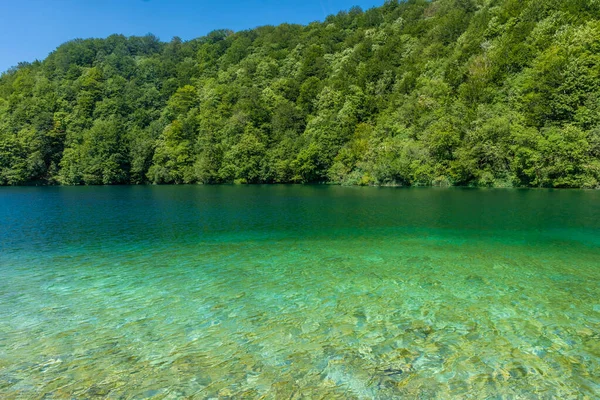 Krajobraz Lasu Kolorowe Jezioro Parku Narodowym Plitwice Chorwacja — Zdjęcie stockowe
