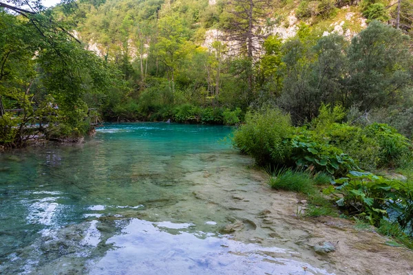 Laghi Plitvice Nella Foresta Croazia — Foto Stock