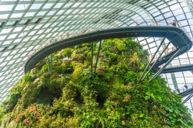 ŞARKI, 3 EKİM 2019: Singapur 'daki Bulut Ormanı