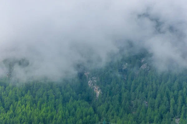 Mlha Alpském Lese Národního Parku Gran Paradiso Itálie — Stock fotografie