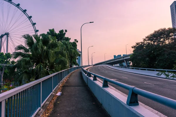 Roda Panorâmica Singapura — Fotografia de Stock