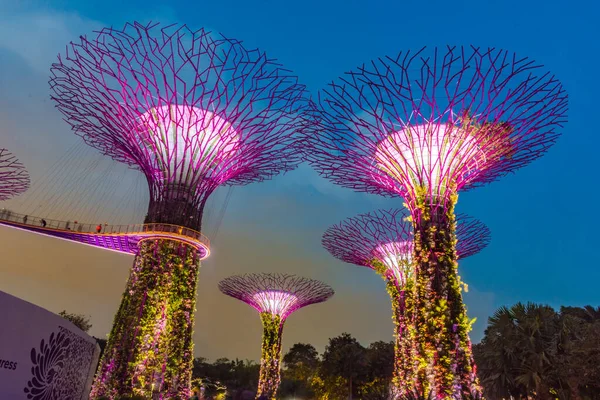 Cingapore Outubro 2019 Superárvores Dos Jardins Junto Baía — Fotografia de Stock