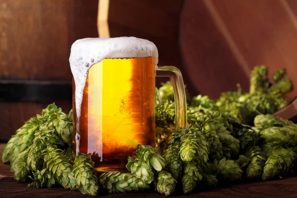 Beer .Mug of beer.Beer with hops.Advertising of beer.Beer in hops.