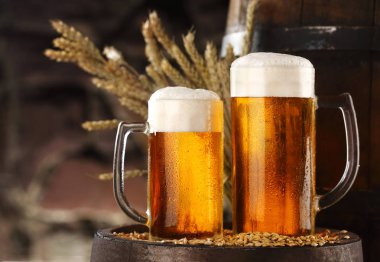 İki bardak bira arpa .stone duvar bakcground üzerinde. Natürmort