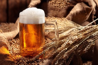Malt bira kupa. Soluk malt, kristal malt. Natürmort. Kopya alanı