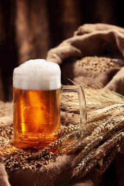 Malt bira kupa. Soluk malt, kristal malt. Natürmort. Kopya alanı
