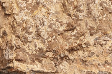 Taşın soyut arkaplan dokusu. Taş dokusu. Arka plan için taşlar. Arka plan için kireçtaşı dokusu. Metin için yakın plan. 