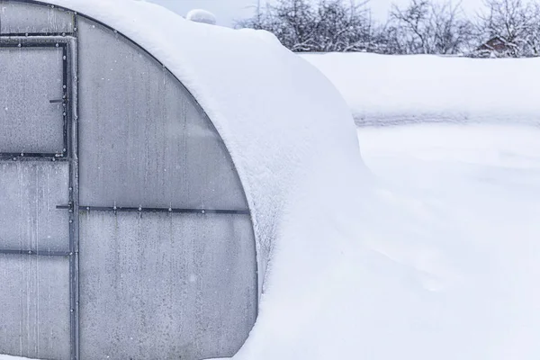 庭の霜 雪の中の温室 雪に覆われた温室 屋根の温室にたくさん雪 — ストック写真