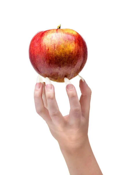 Woman Hands Natural Nails Closeup Beautiful Female Hand Holds Apple — Stock Photo, Image