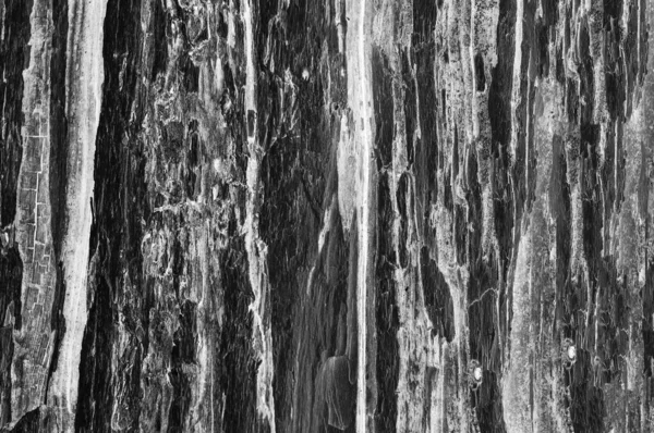 Struktura Drewna Powierzchnia Drewna Tekstura Starego Drewna Zbliżenie — Zdjęcie stockowe