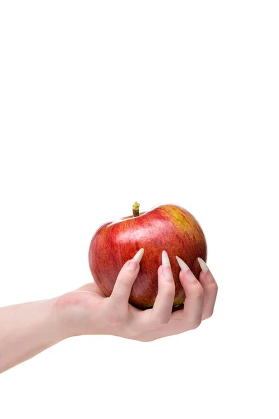 Hand Young Woman Natural Nails Holds Natural Apple White Background — Stock Photo, Image