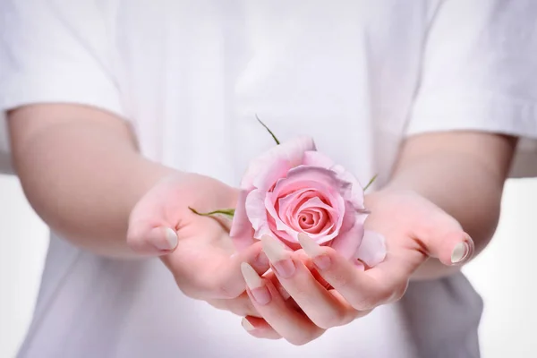 Rose in the hands girl. Beautiful girl hands holding pink rose. Natural manicure nails. Beautiful, natural fingernails. Nails, hands, rose close-up.