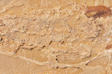 Arka plan için taşlar. Taş dokusu. Taşın soyut arkaplan dokusu. Arka plan için kireçtaşı dokusu. Metin için yakın plan. 