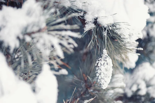 Ace Verzi Acoperite Zăpadă Într Însorită Iarnă Pădure Aproape Cer — Fotografie, imagine de stoc