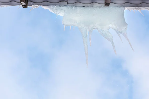 青い空に長いつらら つらら 屋根の上の氷 つらら 冬は家の屋根につららがかかっています — ストック写真