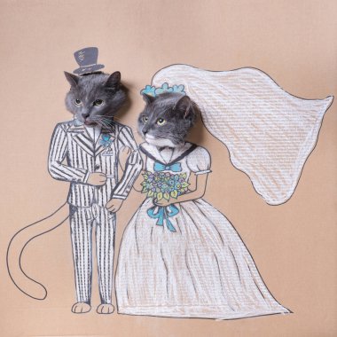 Wedding scabs. Cats at the wedding. Wedding of the gray beautiful cats in a suit and wedding dress. clipart