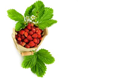 Taze, sulu kırmızı çilek ahşap küçük bir kovada, beyaz izole bir arka planda.