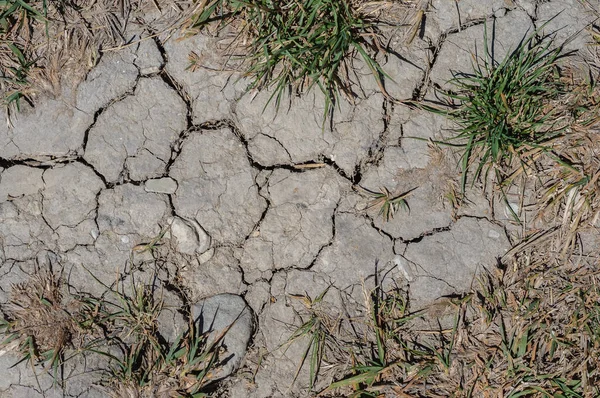 Wüstenlandschaft Hintergrund Globale Erwärmung Konzept Trockene Bodenbeschaffenheit Hintergrund Trockene Landschaft — Stockfoto