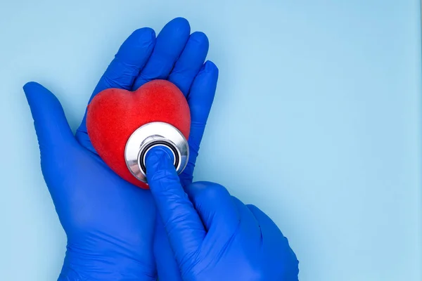 Doctor cardiologist hands with heart in hands on blue background. Concept of cardiology and cardiovascular diseases.Hands of the cardiologist in blue gloves hold red heart and listen to heart with statoscope.