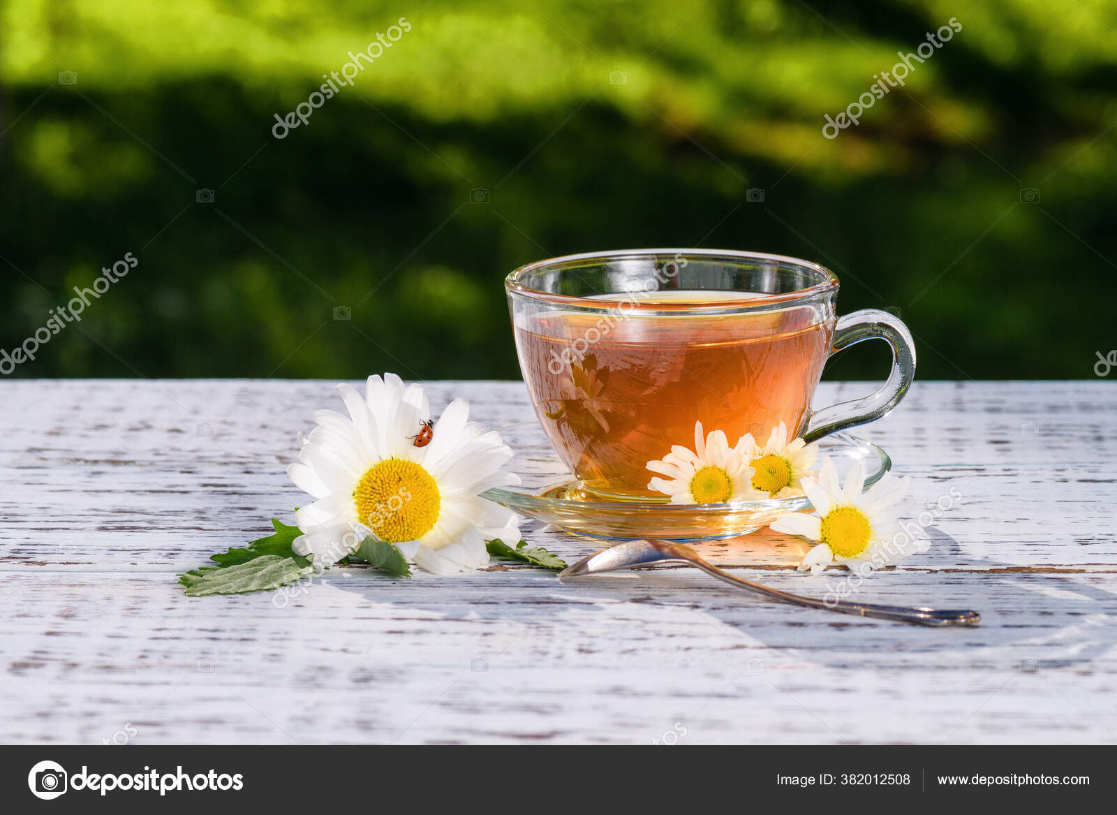 一杯茶和一个茶托站在一张木制的白色的桌子上在阳光下在洋溢着甘菊般的白花中 图库照片 C Prilytskiy Mail Ru
