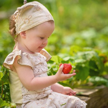 Küçük bir kız olgun, sulu bir çilek yer. Çilekli yeşil bir bahçenin yanında oturur. Güneş ışığıyla aydınlatılır..